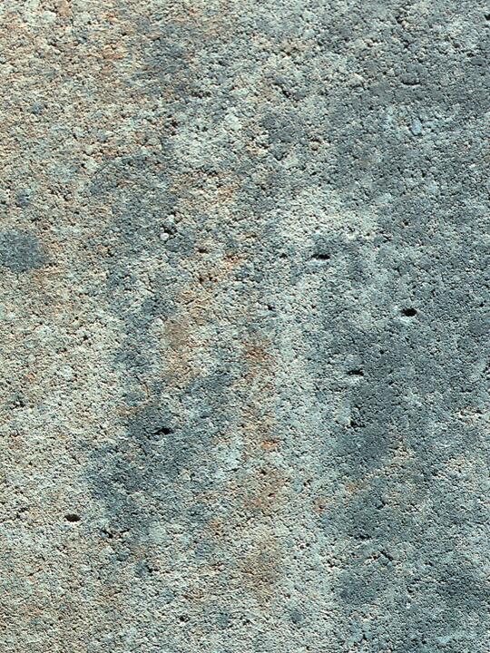 La Tierra 8 cm wilder Verband La Tierra 8 cm wilder Verband