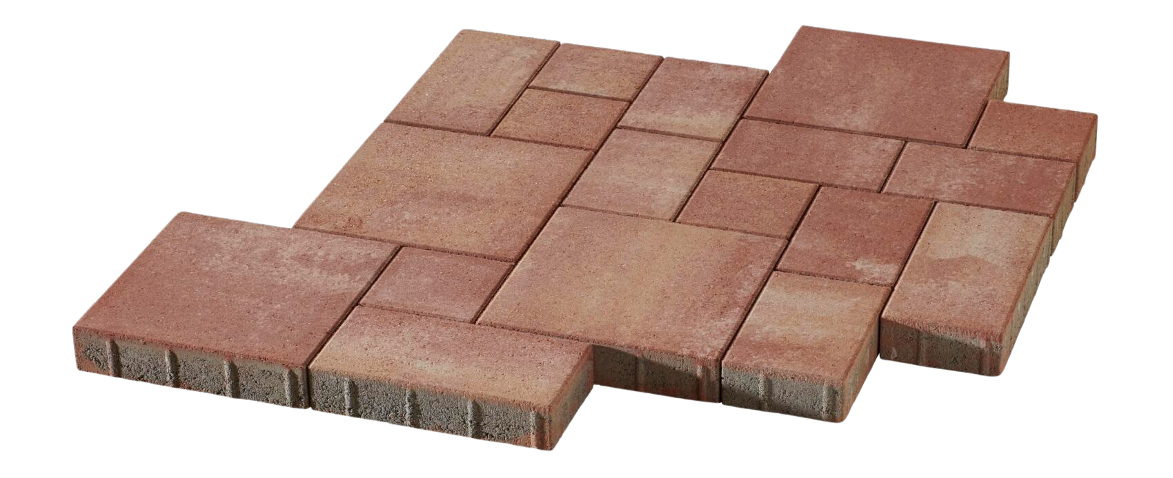 La Tierra 8 cm wilder Verband La Tierra 8 cm wilder Verband