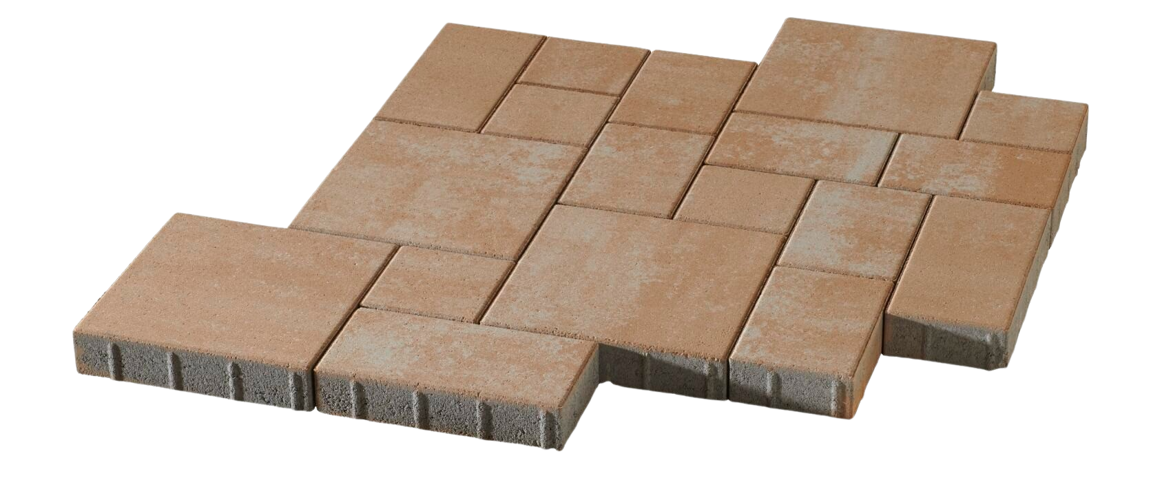 La Tierra 8 cm wilder Verband La Tierra 8 cm wilder Verband