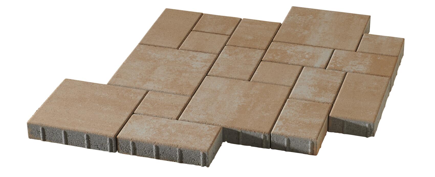 La Tierra 6 cm wilder Verband